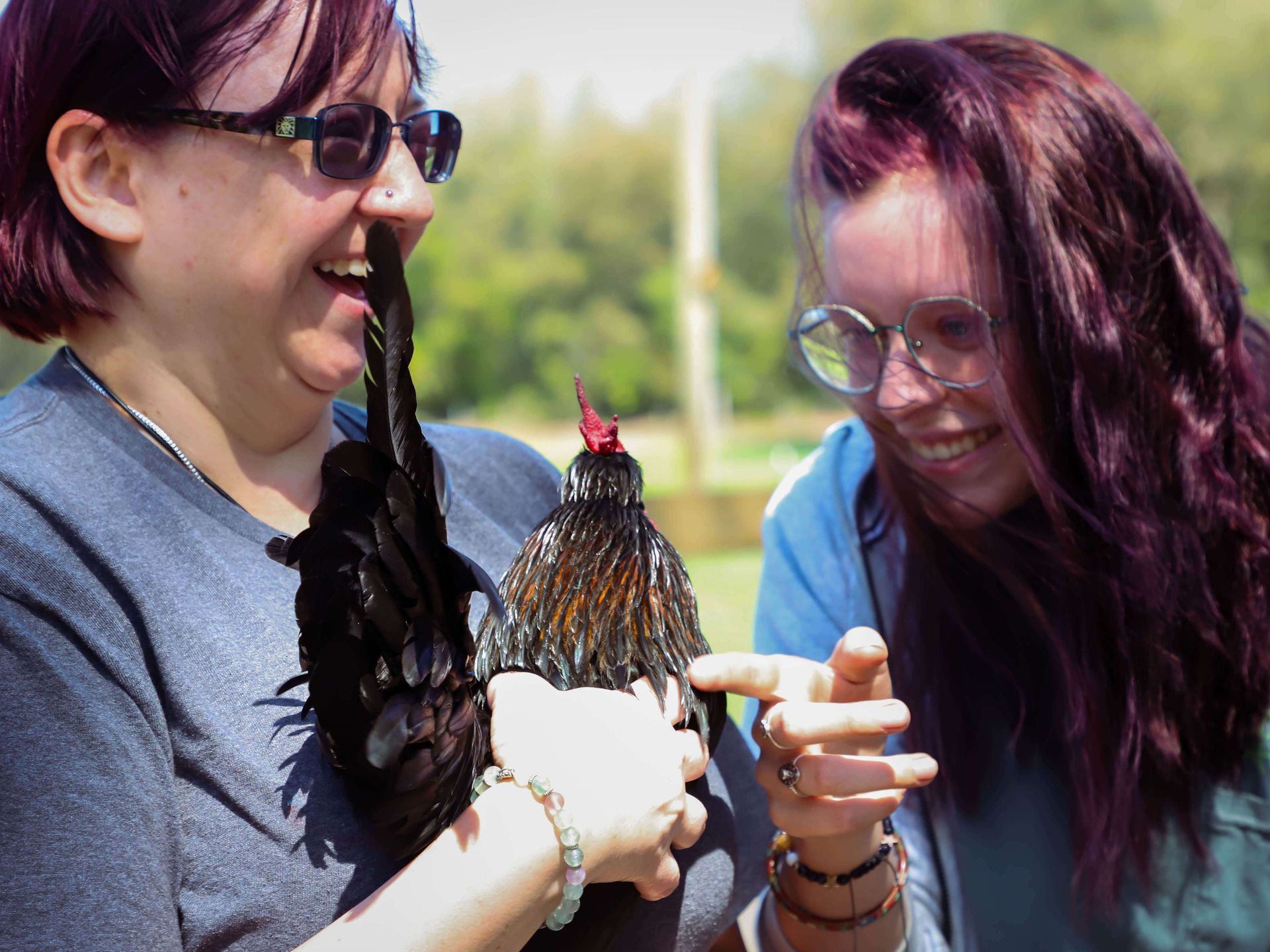 Two people laughing while holding a black and brown chicken outdoors in sunlight.