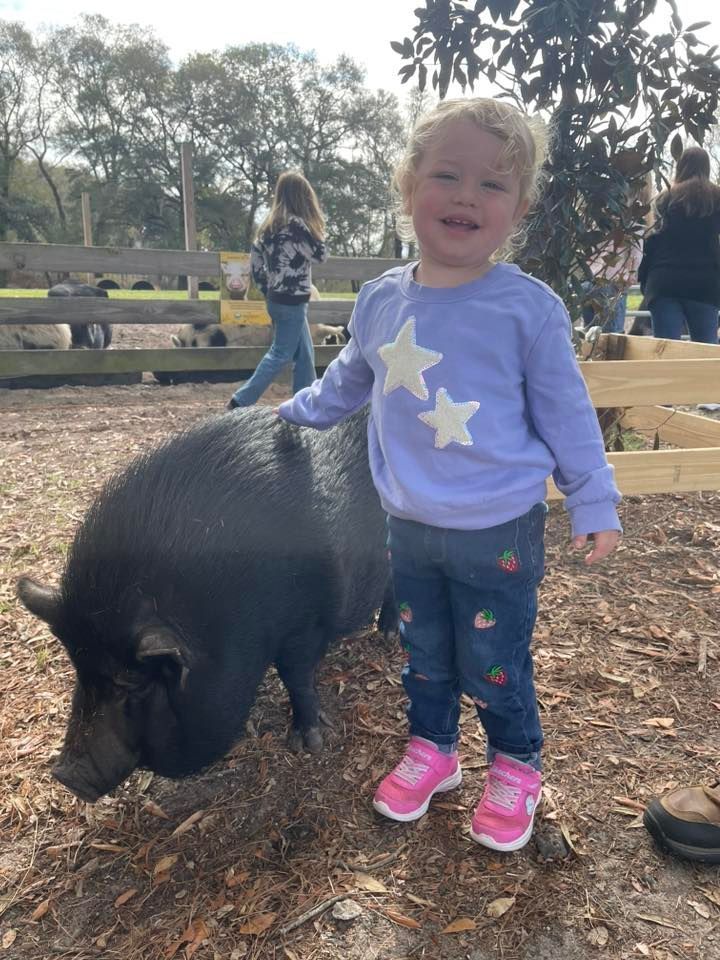 Child in a blue shirt with star and strawberry designs pets a black pig; they smile outdoors.
