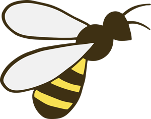Bee with black and yellow striped body and white wings.