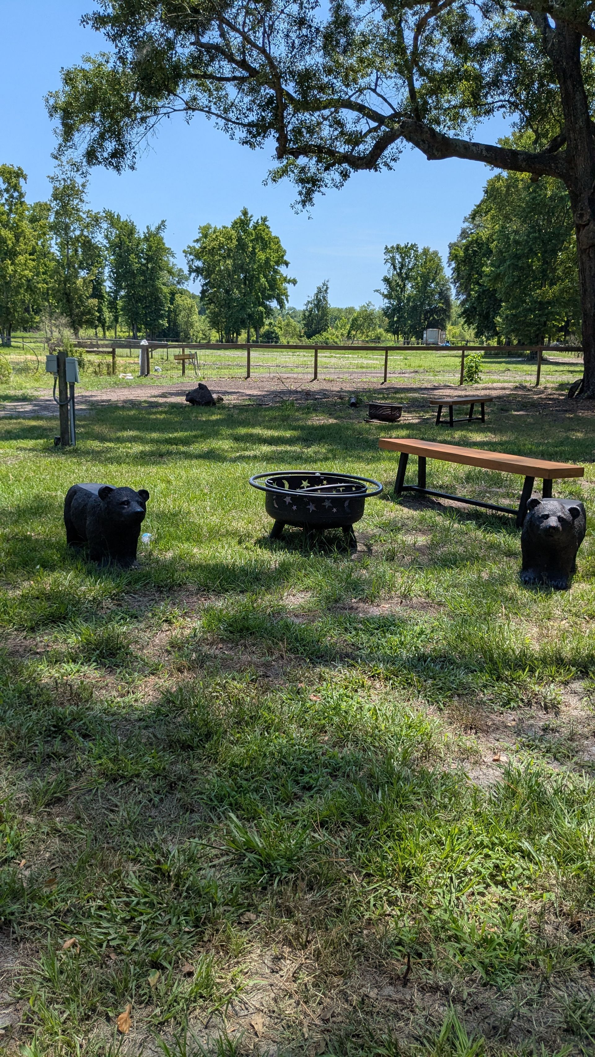 Fire pit area with black bear chairs, wooden bench, and grassy field.