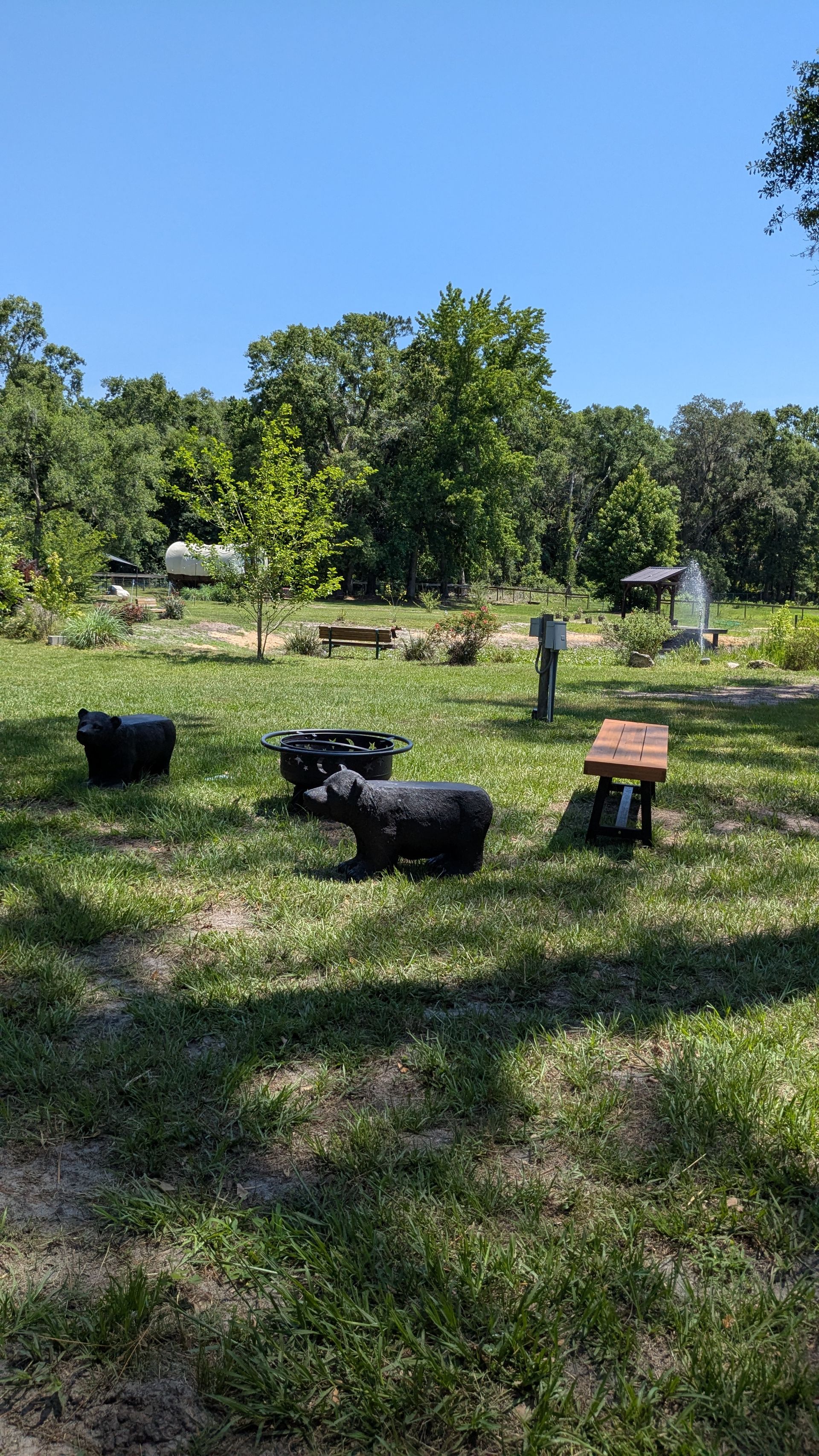 Lawn with black sculptures, a bench, and a standing person, with trees in the background on a sunny day.