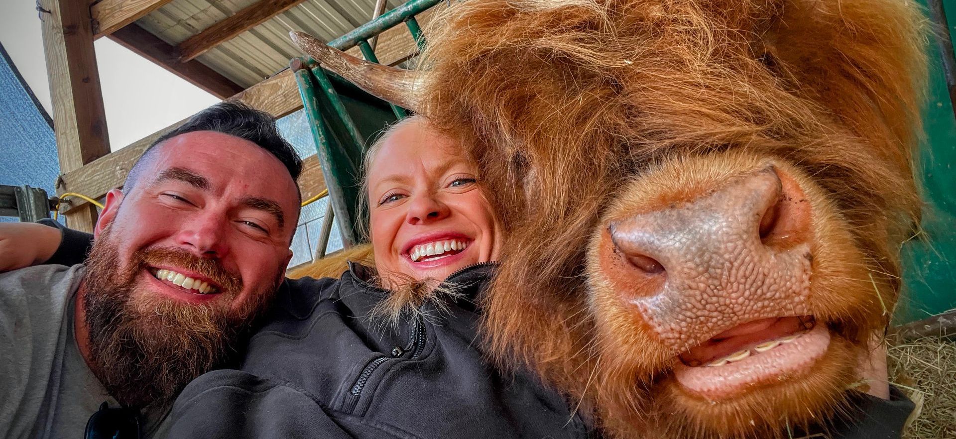 Two people smile with a close-up of a brown Highland cow, all appearing to take a selfie.