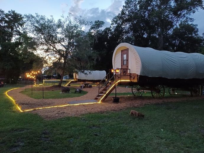 Two covered wagons lit up at dusk, with a pathway and string lights in a grassy area.