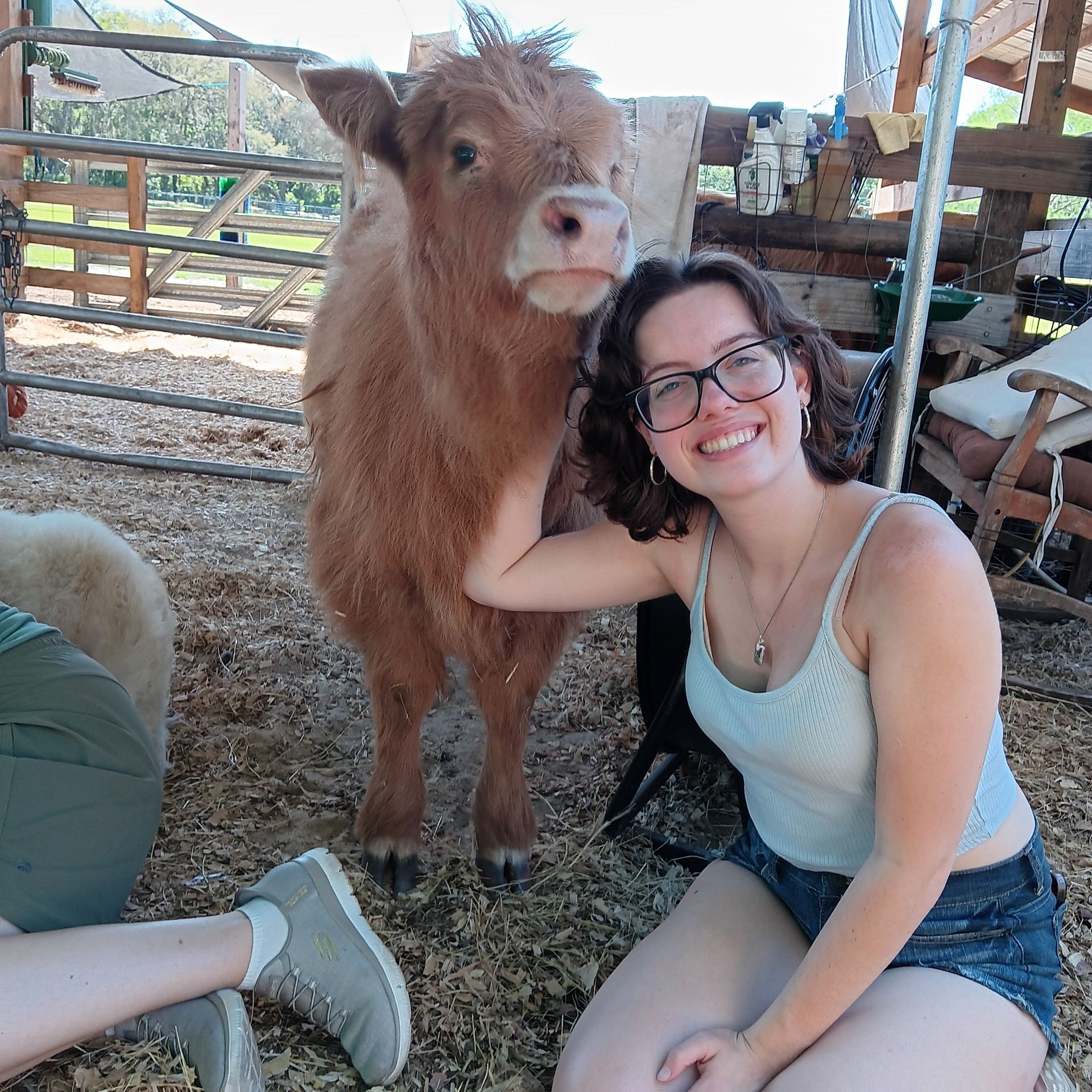 Young person smiles, pets a small, brown cow. Both are in a pen, likely a farm.