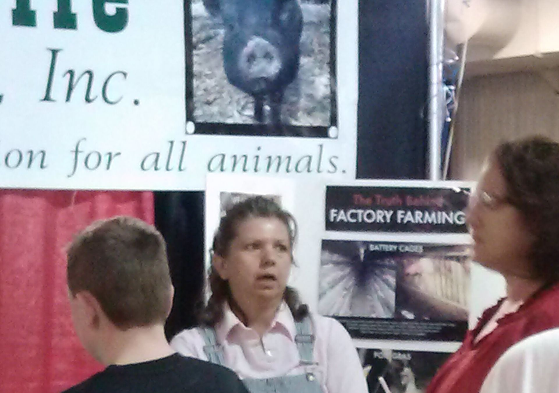 A woman speaks at an animal rights booth. Displays include a pig photo and text about factory farming.
