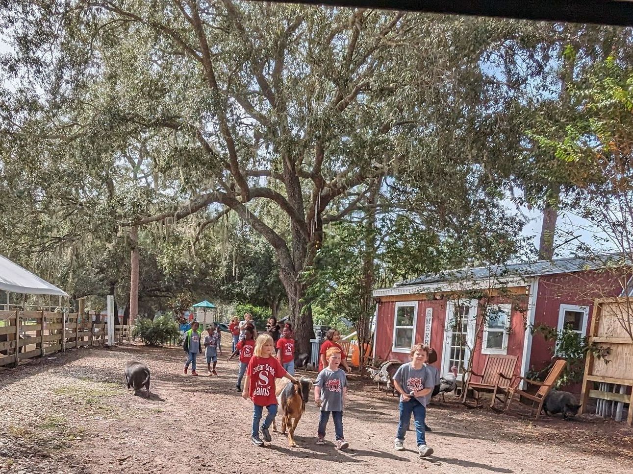 Children walking with goats on a dirt path, near a red building and large tree.