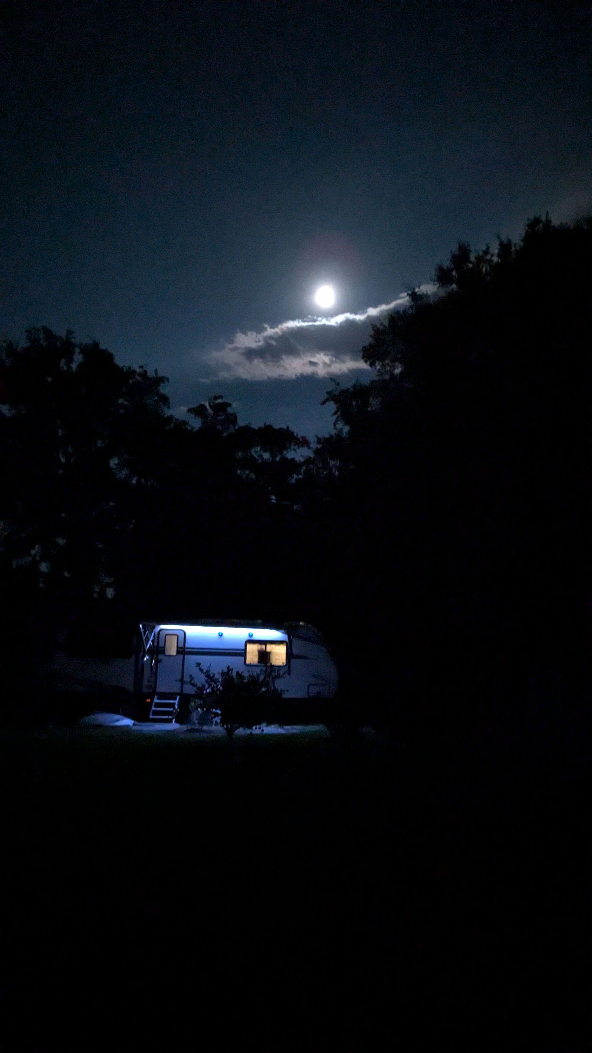 Camper illuminated at night under a full moon, framed by dark trees.