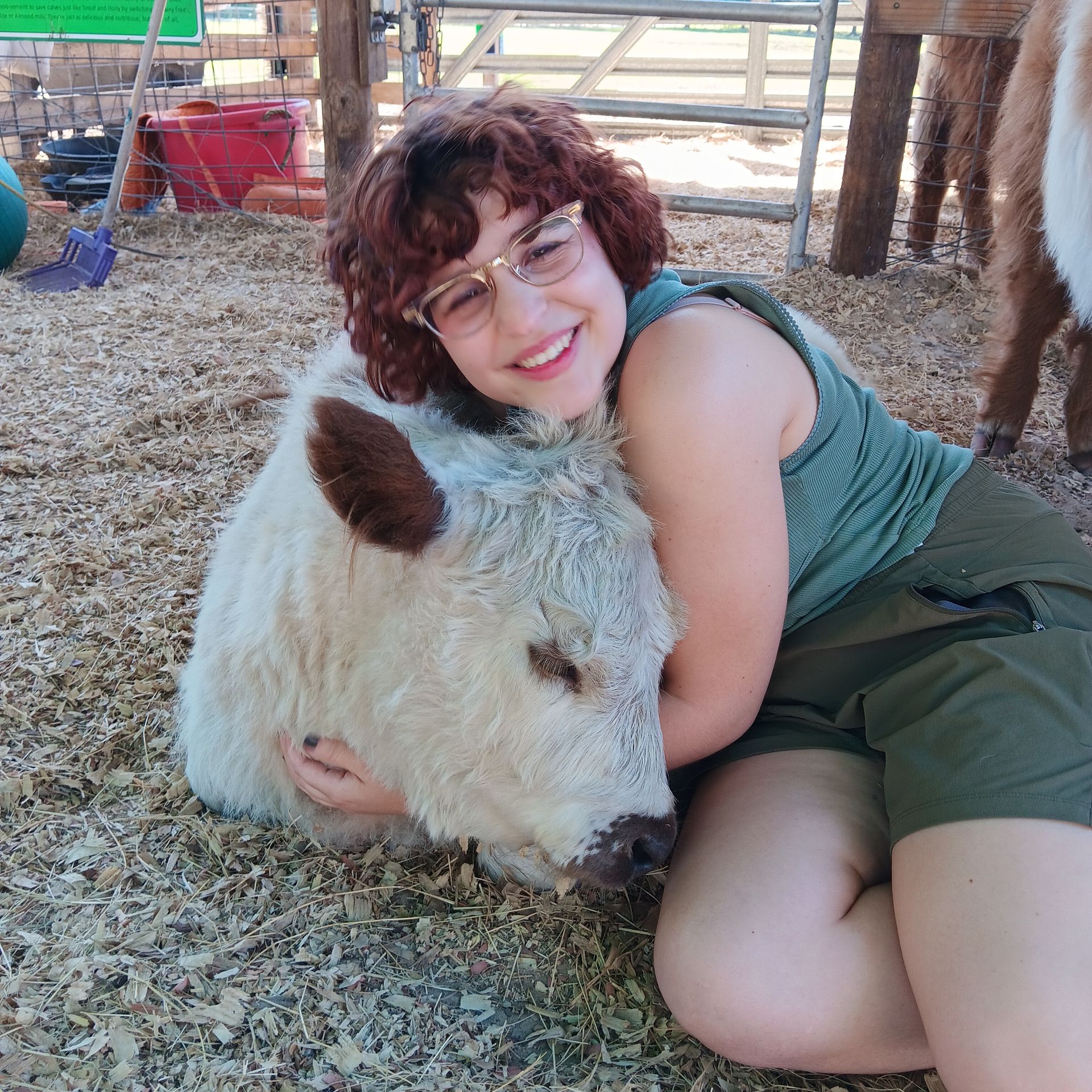 Woman in glasses hugs a fluffy white calf in a barn, smiling.