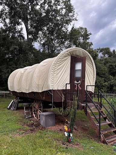 Covered wagon converted into a dwelling, brown with white canvas, wooden steps, in a grassy area.