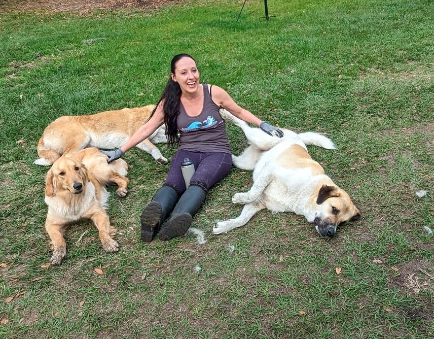 Woman petting three dogs on grass.