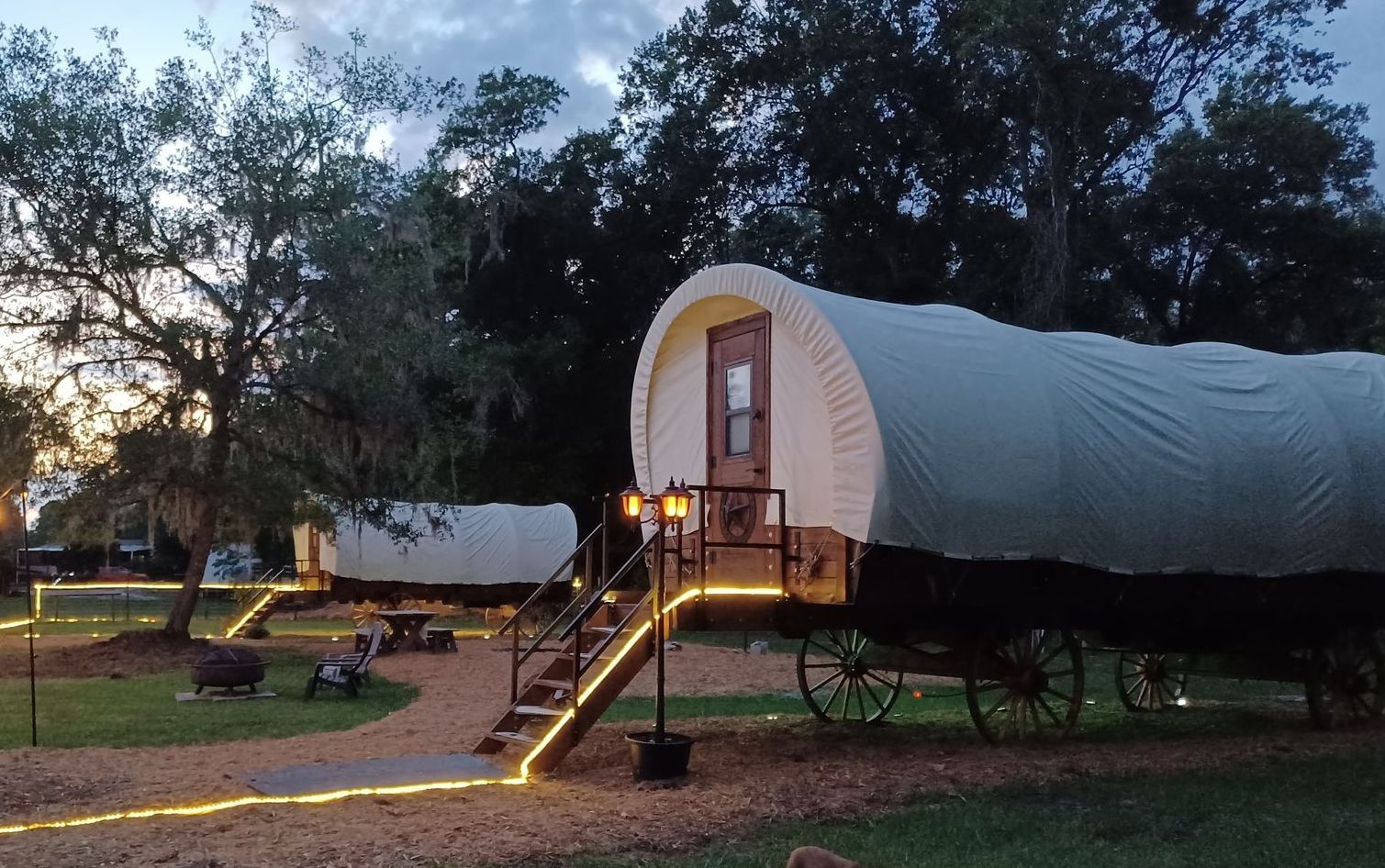 Two covered wagons lit up at dusk, with stairs leading to doors, string lights, and trees.