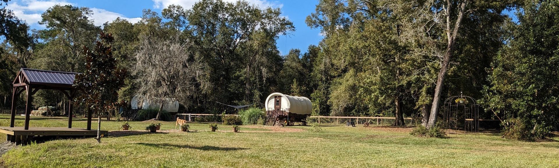 A grassy field with a wooden shelter, trailer, and trees under a blue sky.