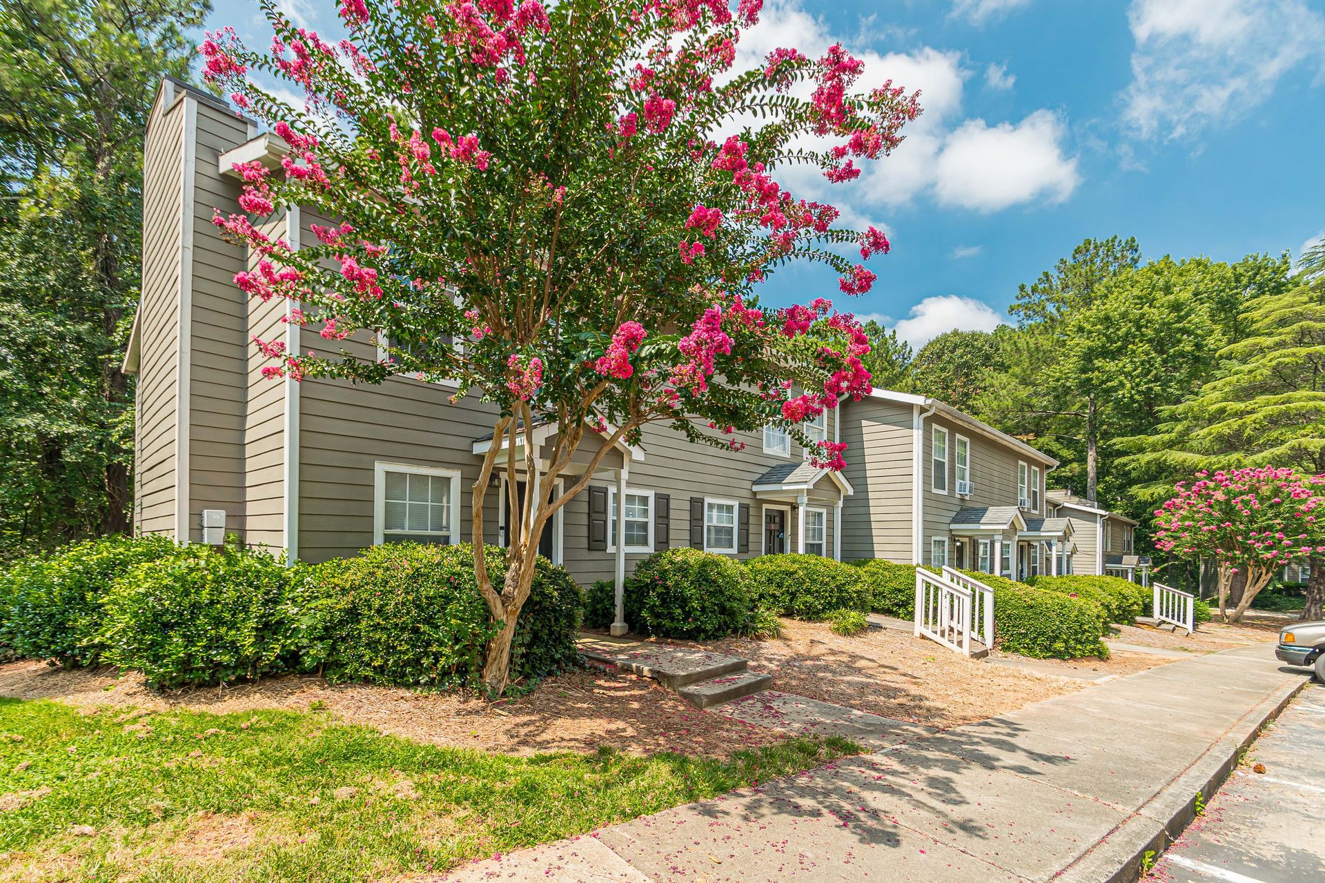 Brick townhouse with blooming pink crepe myrtle trees and a sidewalk-lined street under a blue sky