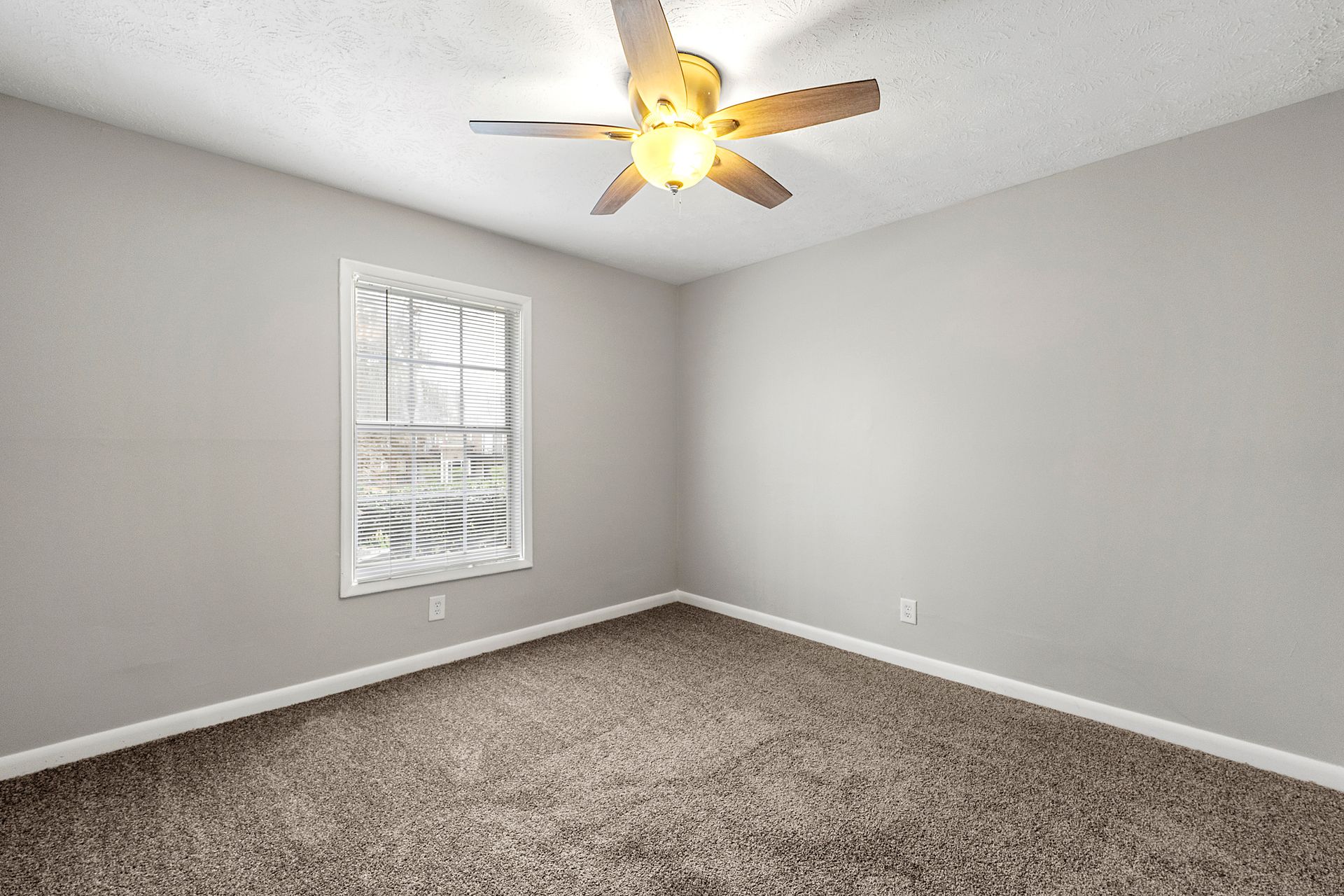 Empty carpeted bedroom with gray walls, window blinds, and a ceiling fan with light on.