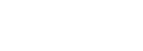 Blank white rectangle with a thin black border and a thicker black line near the bottom.