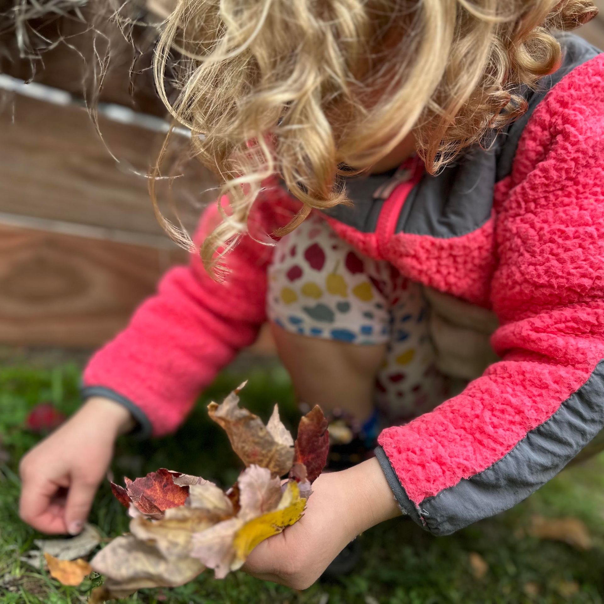 A young child in a pink jacket is selecting and collecting several colored fall leaves from an outdoor leaf pile.