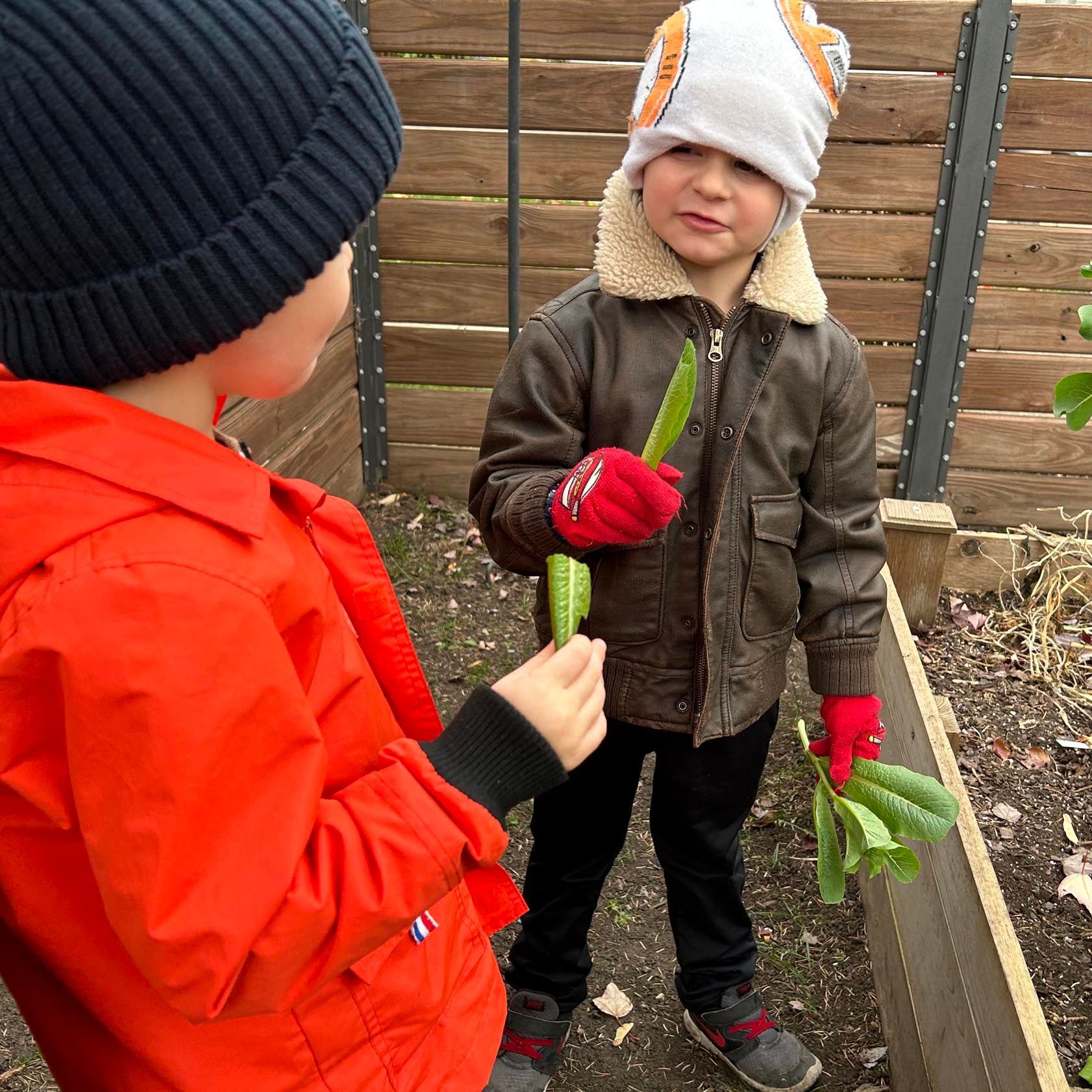 Two children dressed in warm hats and jackets are outdoors facing each other. Each holds a green leave.