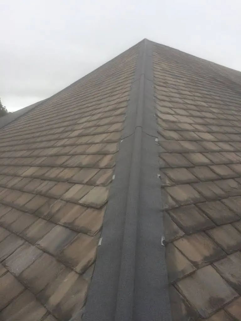 Close-up of a tiled roof with a dark gray strip running vertically along the ridge, against a cloudy sky.