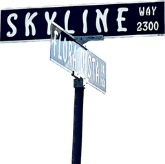 Skyline Property Management logo - click to go home