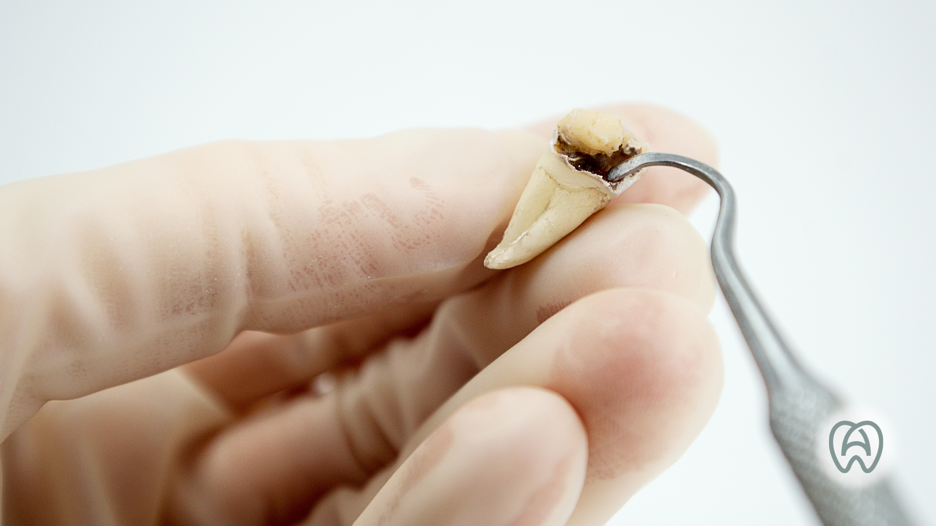 Hand holding a small hooked fish lure with a silver hook and beige body on a white background