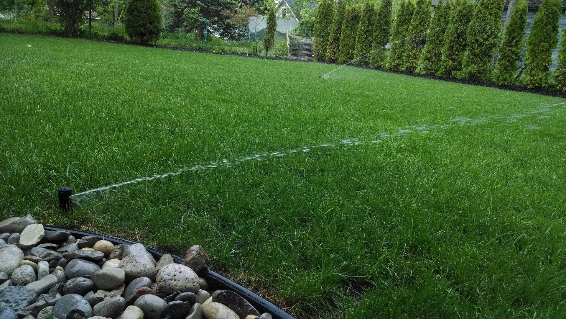 A sprinkler is spraying water on a lush green lawn.