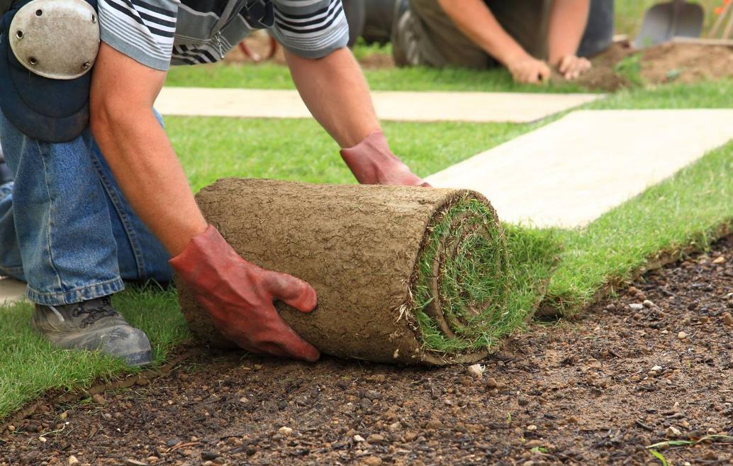 A man is rolling a roll of grass on the ground.