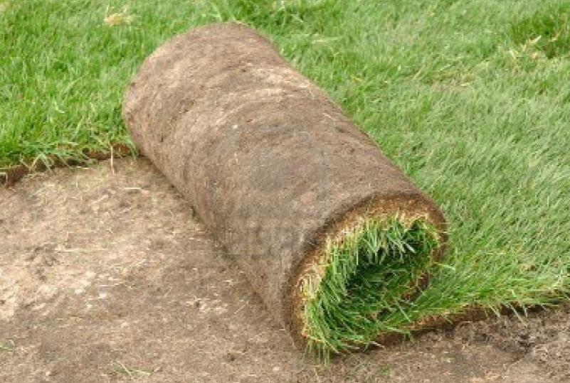 A roll of turf is laying on the ground.