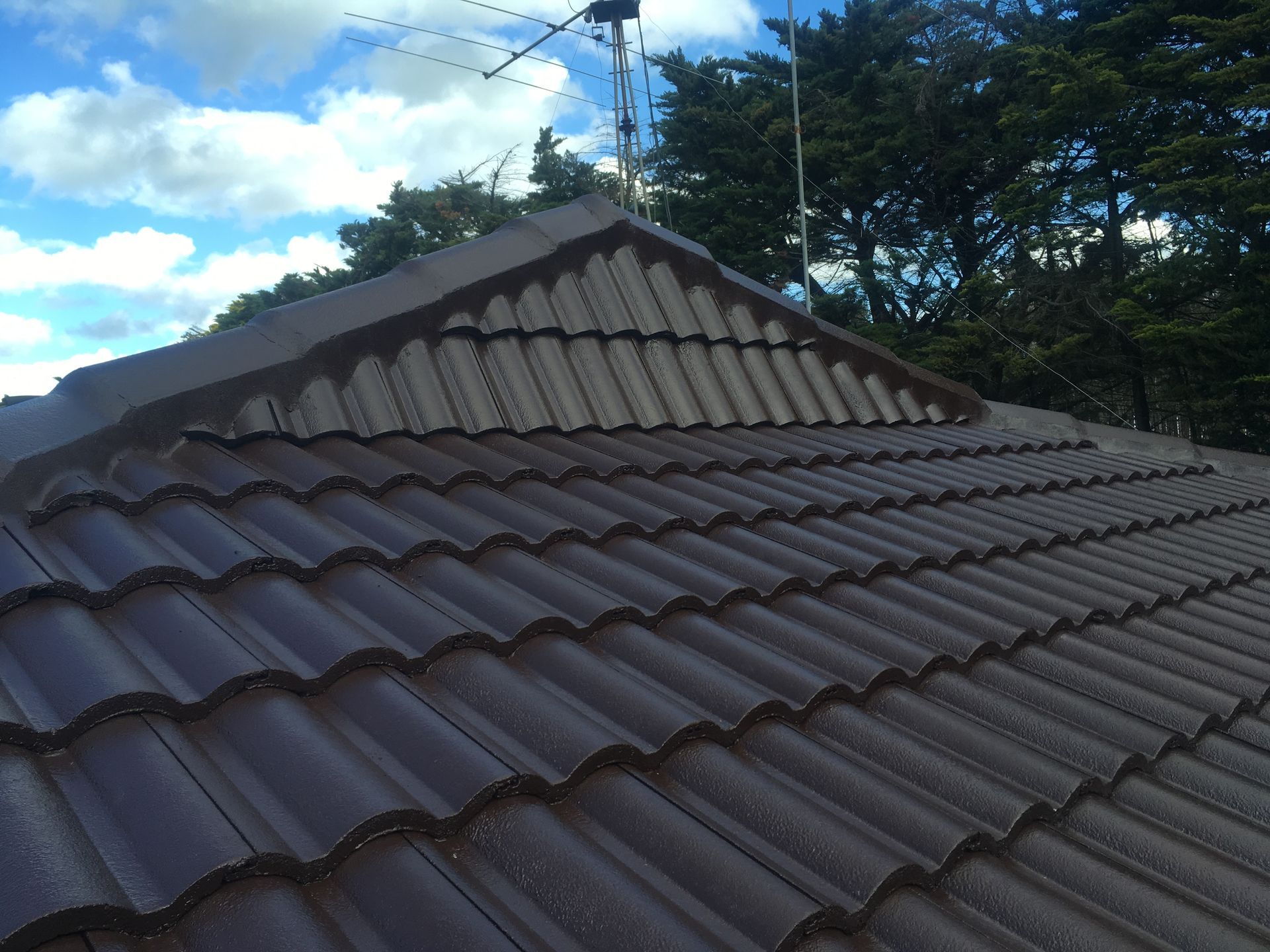 Metal Roofing With Trees Background | Warragul, VIC | Roofshield