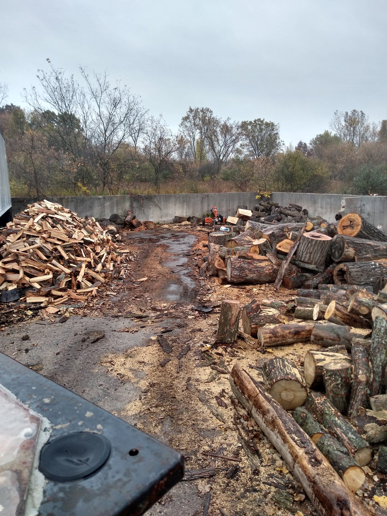 Pile of firewood and chopped logs on a wet, muddy surface, near a wooded area. Overcast sky.