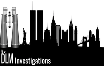 DLM Investigations Logo