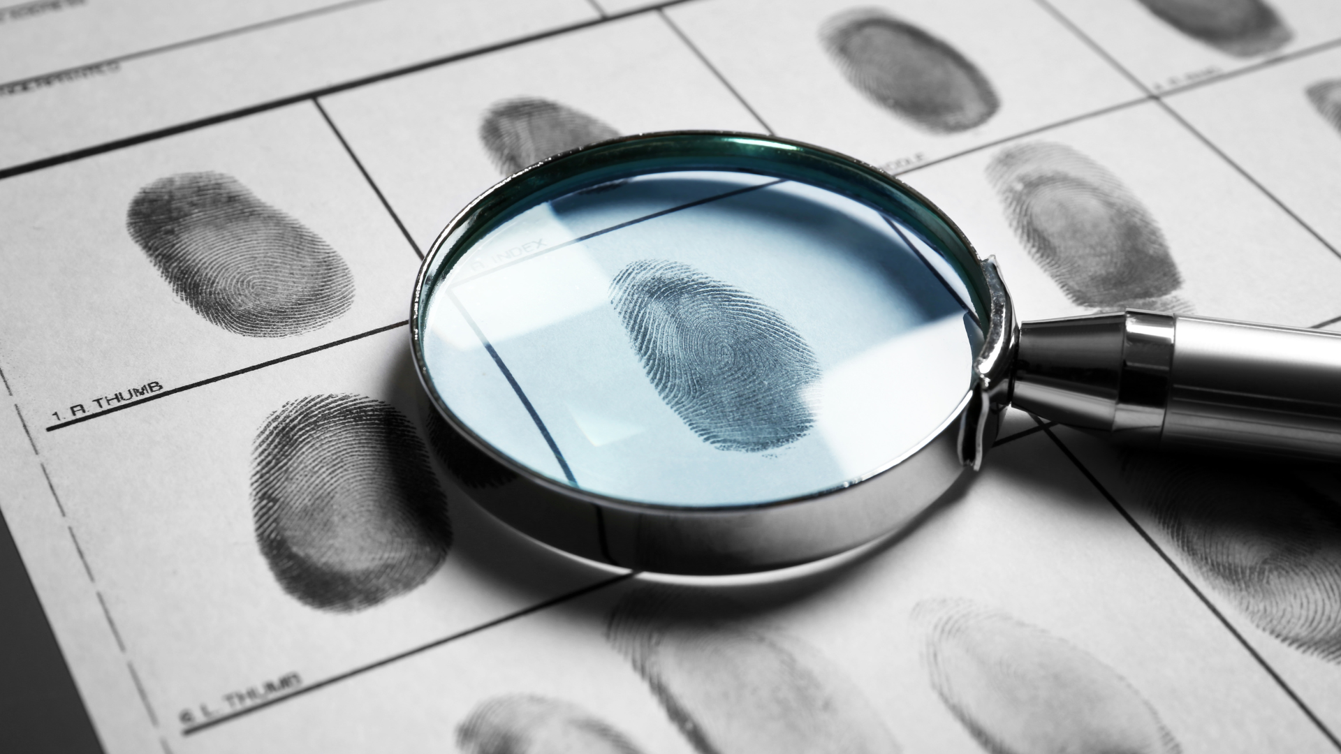 DLM Investigations-Home
