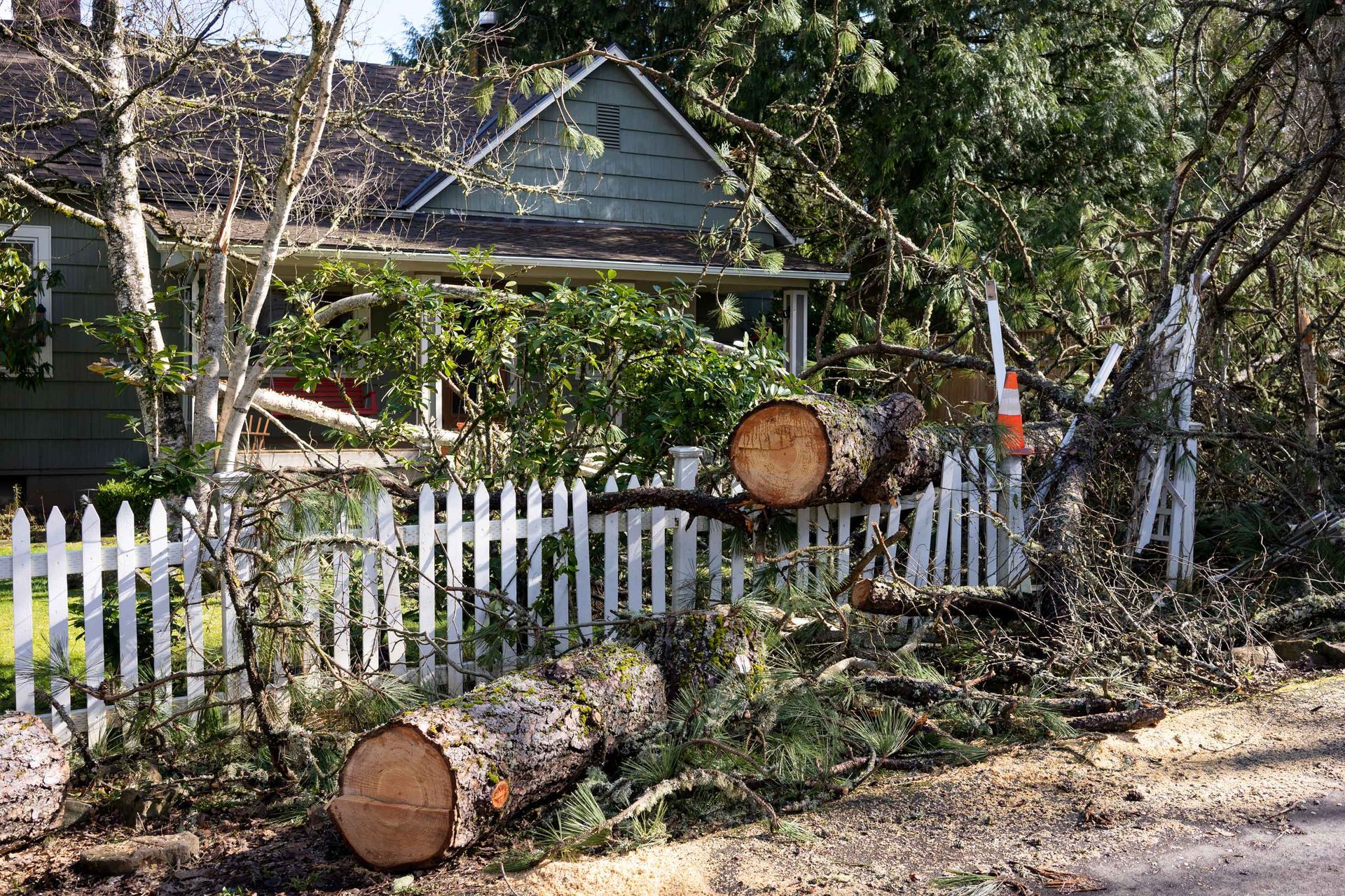 A fallen tree rests on a white picket fence in front of a small house.