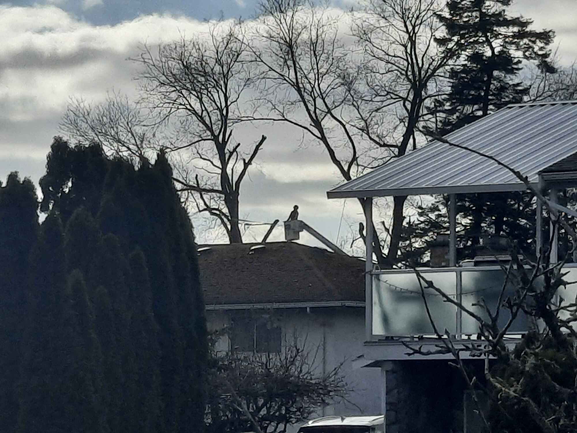 Snowy suburban yard with trees, house roofs, and a covered balcony under cloudy skies