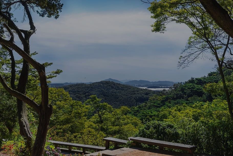 Forest-covered hills under a cloudy sky, seen from a wooden overlook with benches.