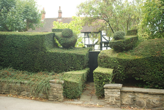 Custom trimmed hedge for front yard