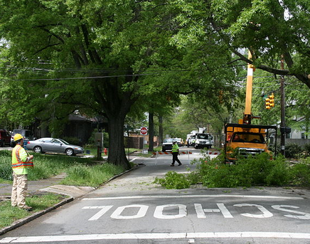 Residntial tree care service
