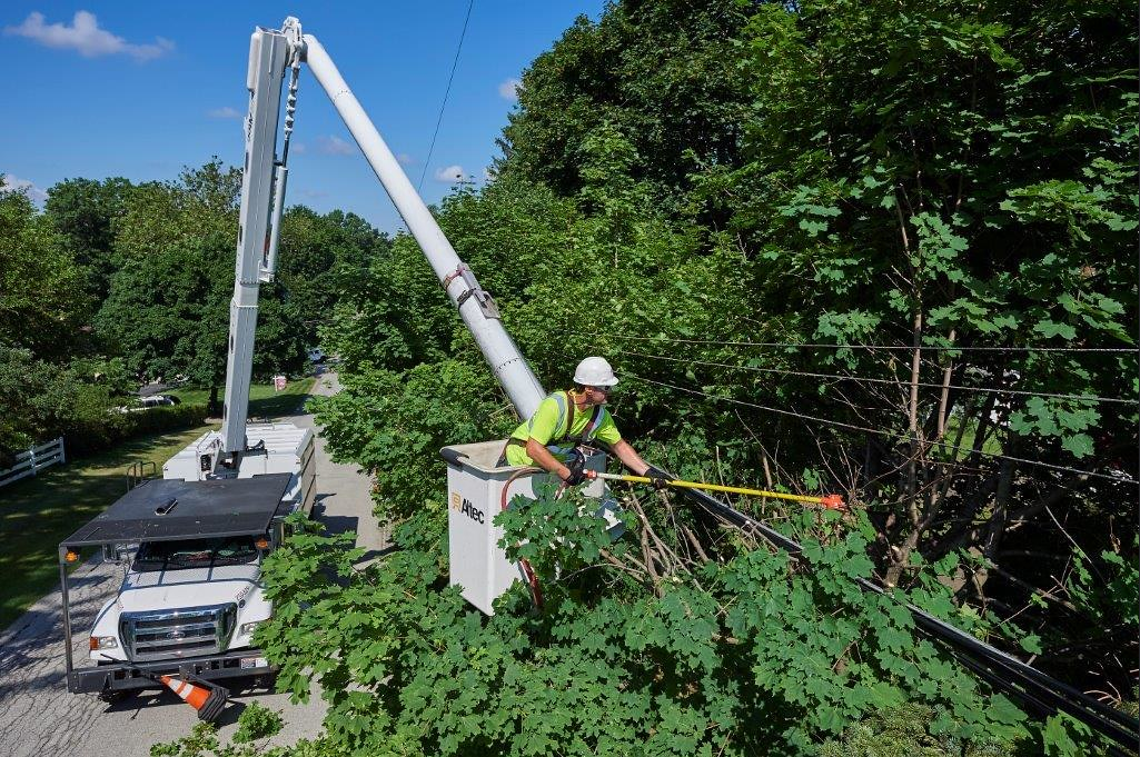 Utility crew trimming trees beside a roadside with a bucket truck and lift arm