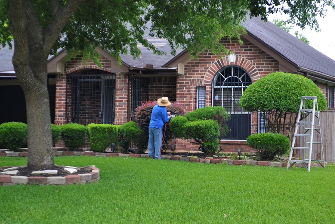 Home tree and shrub care
