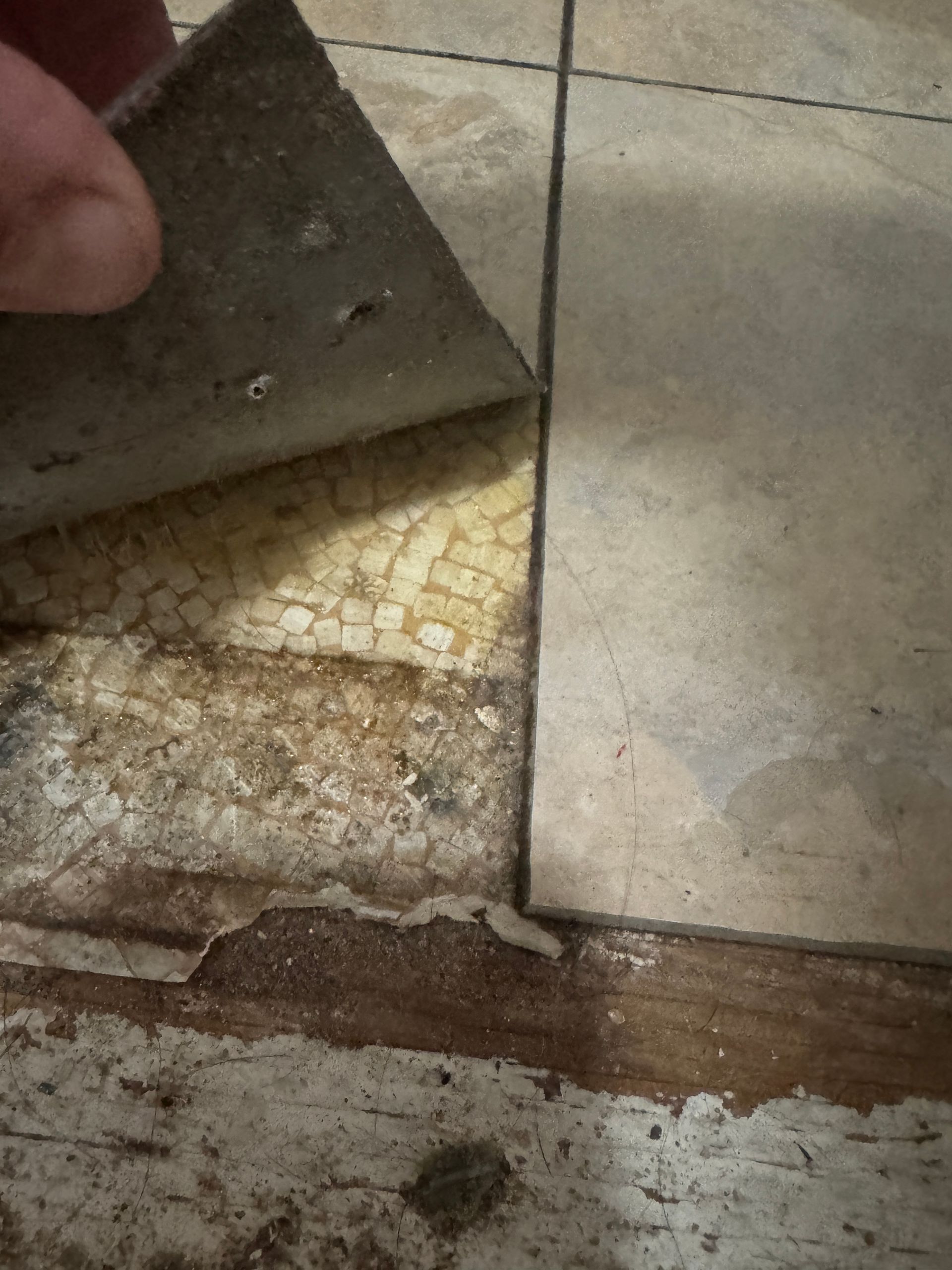 Hand peeling up a tan tile, revealing damaged underlayment and decorative tile.