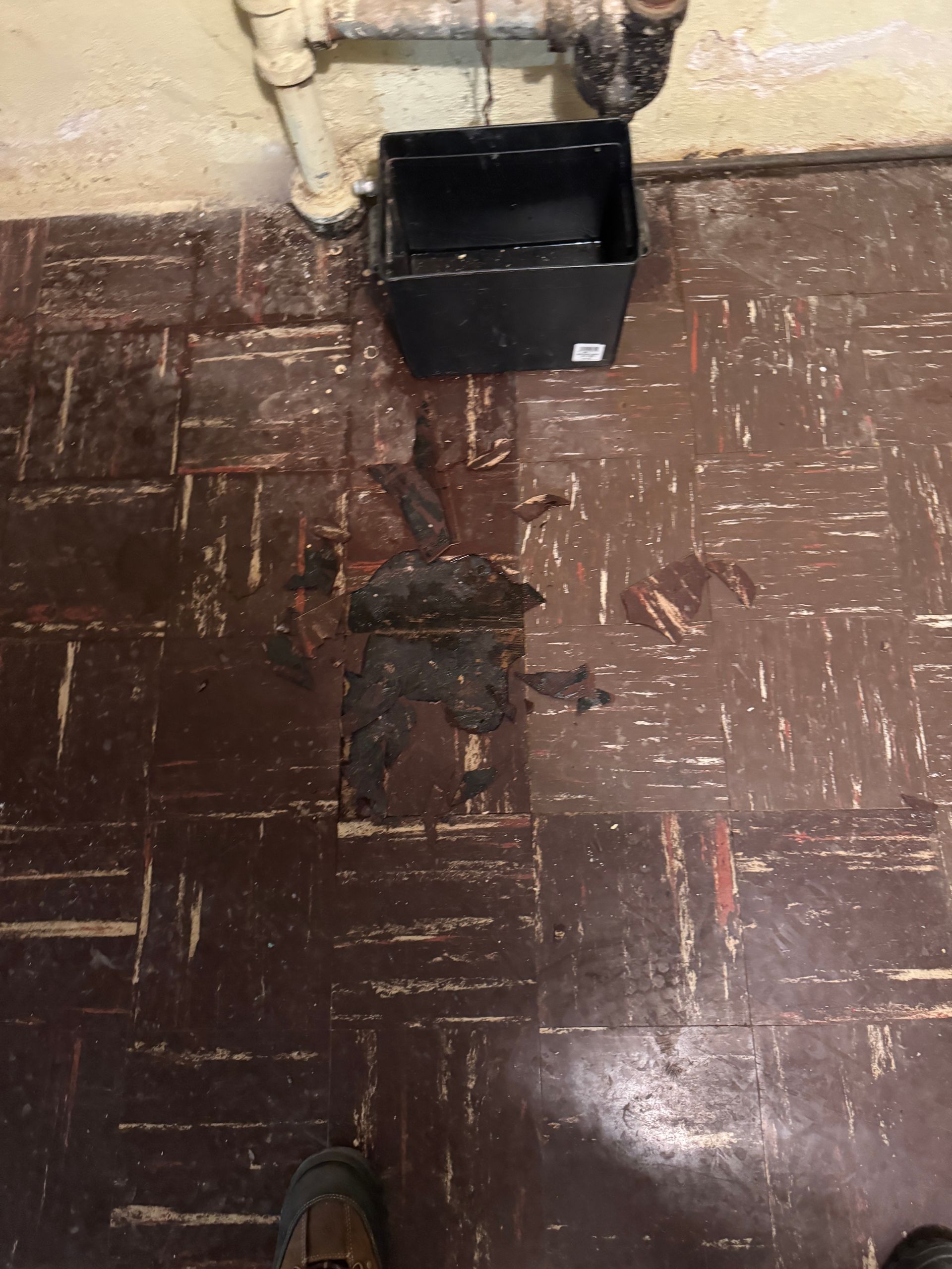 Black container on dark brown flooring stained by a dark, wet substance near pipes.