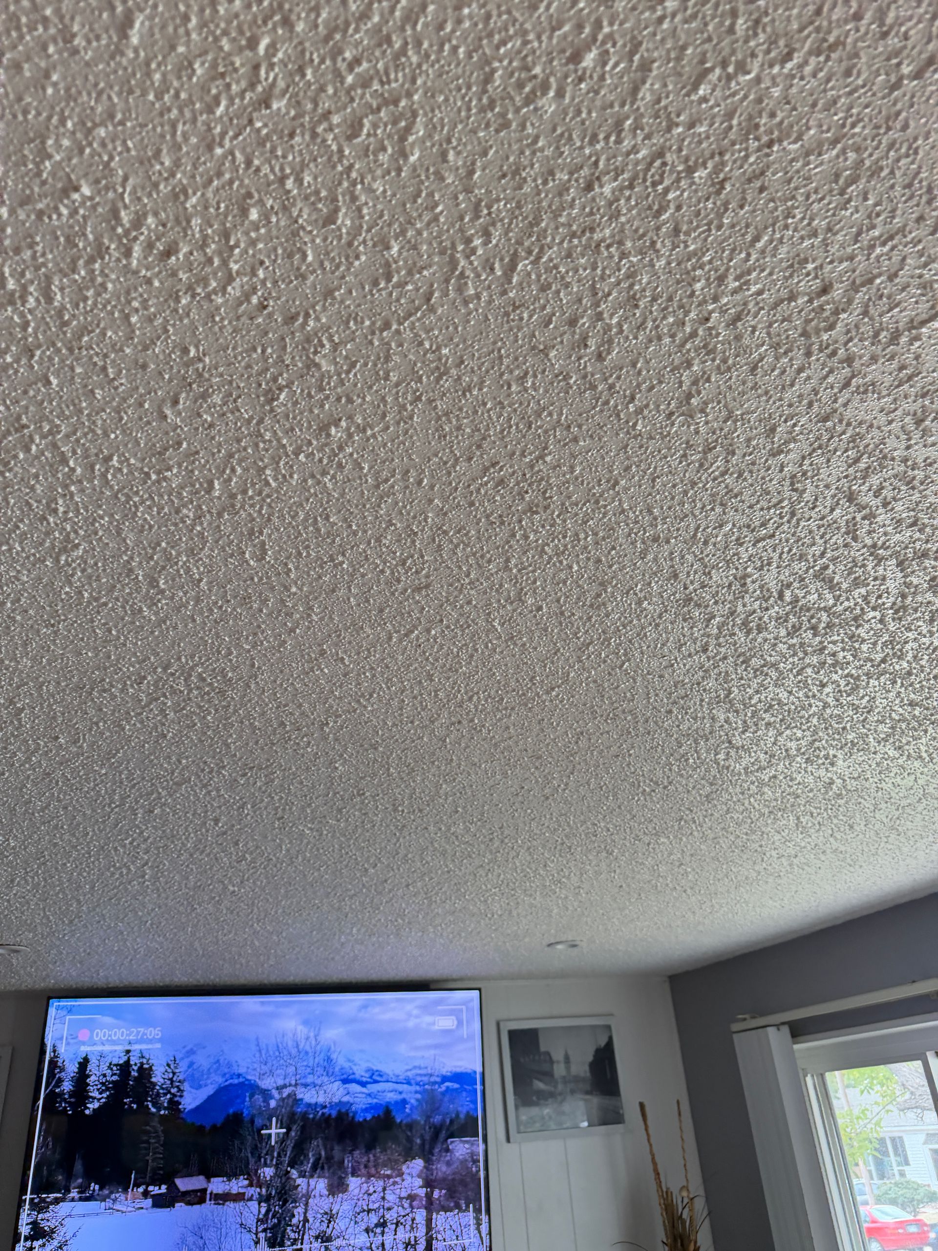 Ceiling with popcorn texture, television displaying winter landscape, and a window.