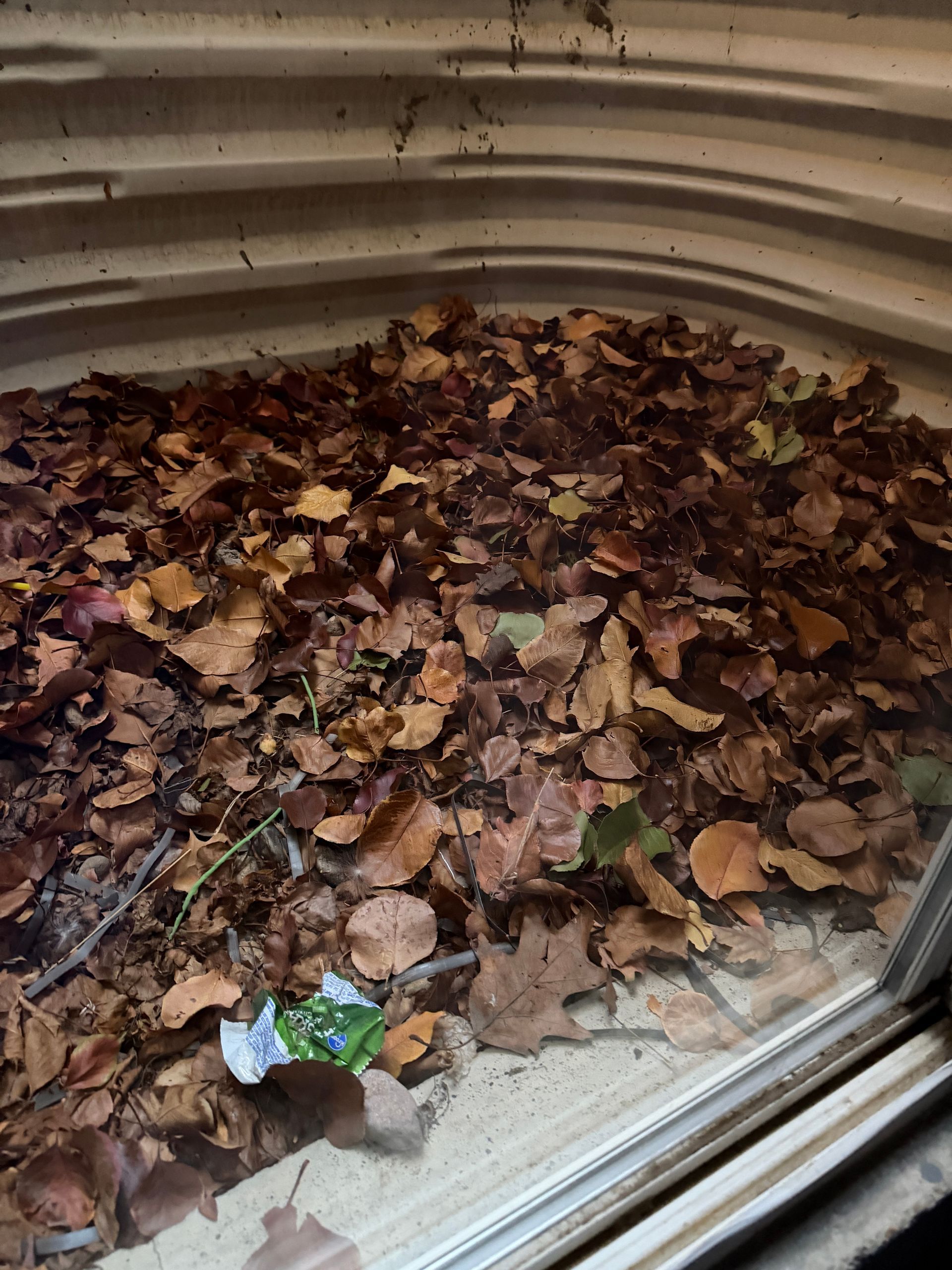 Window well filled with brown leaves.