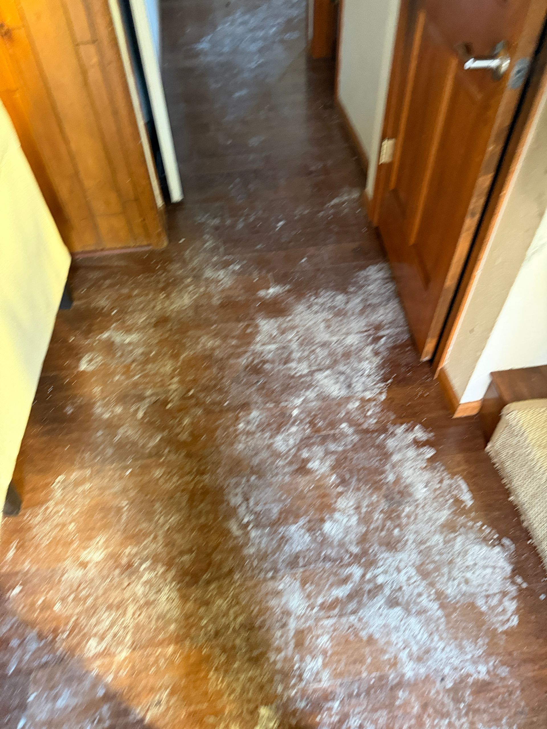 A hallway with a wooden floor covered in white debris. Two closed wooden doors are visible.