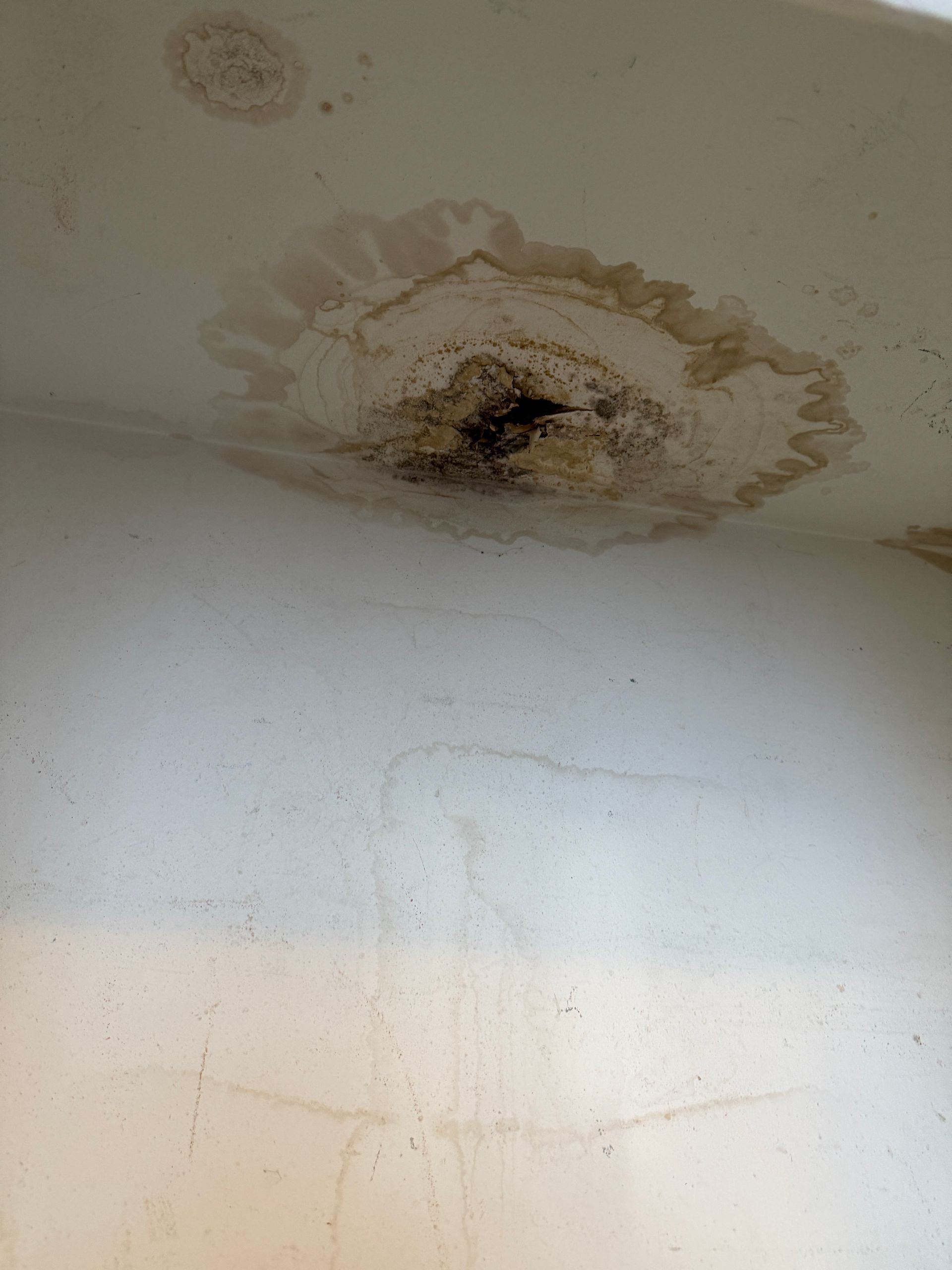 Water stain on white ceiling, brown discoloration with dark center.