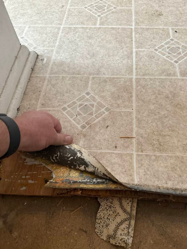 Hand peeling up a section of worn linoleum flooring. Reveals old adhesive and underlayment.