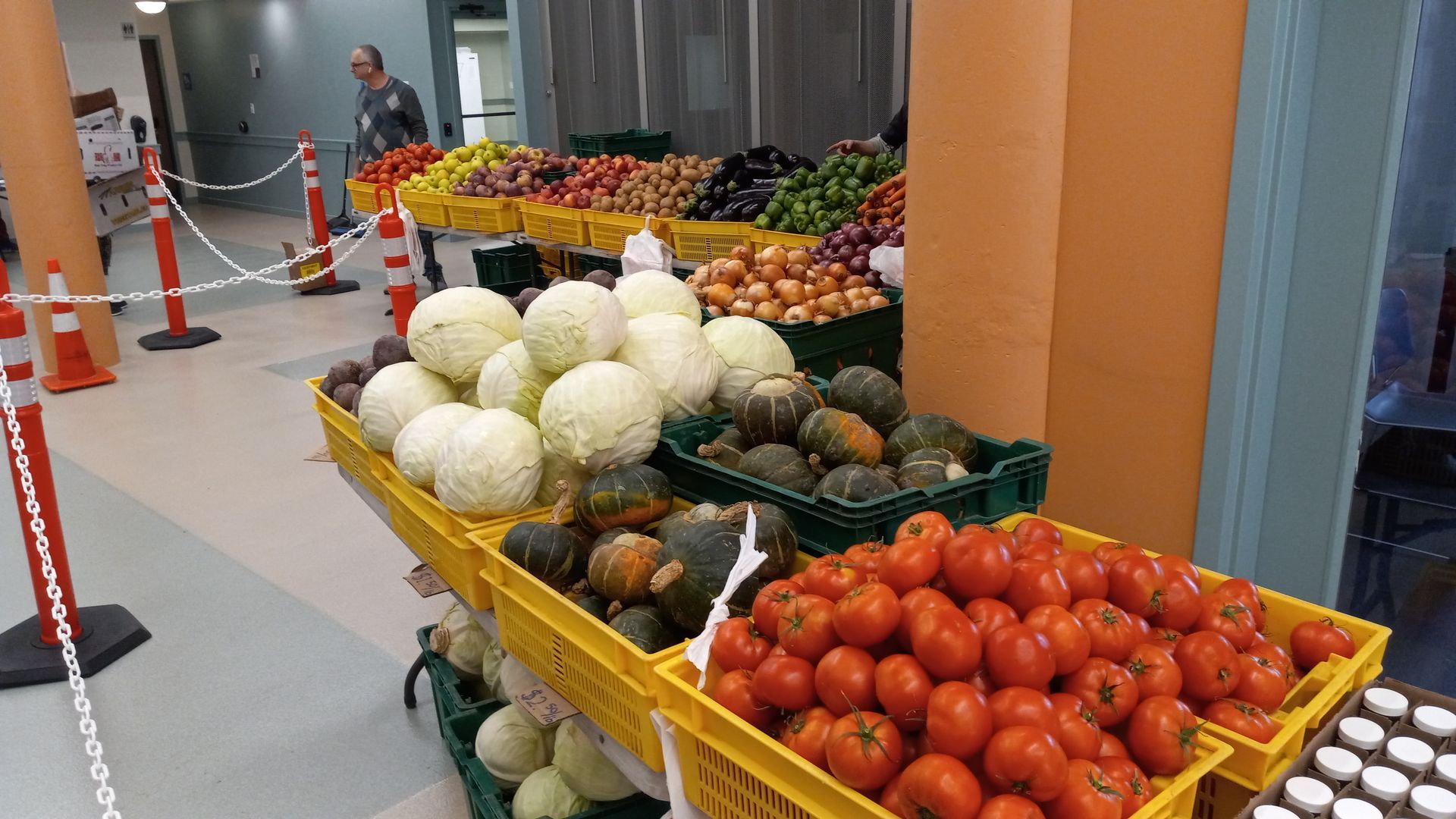 Yellow produce bins with assorted vegetables, including tomatoes, melons, and squash, in a store or market aisle