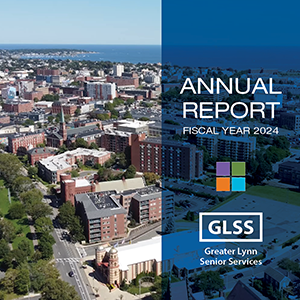 Annual report cover, fiscal year 2024. Cityscape divided; left side shows city, right side is blue. GLSS logo.