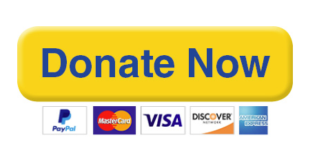 Yellow “Donate Now” button with payment logos for PayPal, MasterCard, Visa, Discover, and American Express