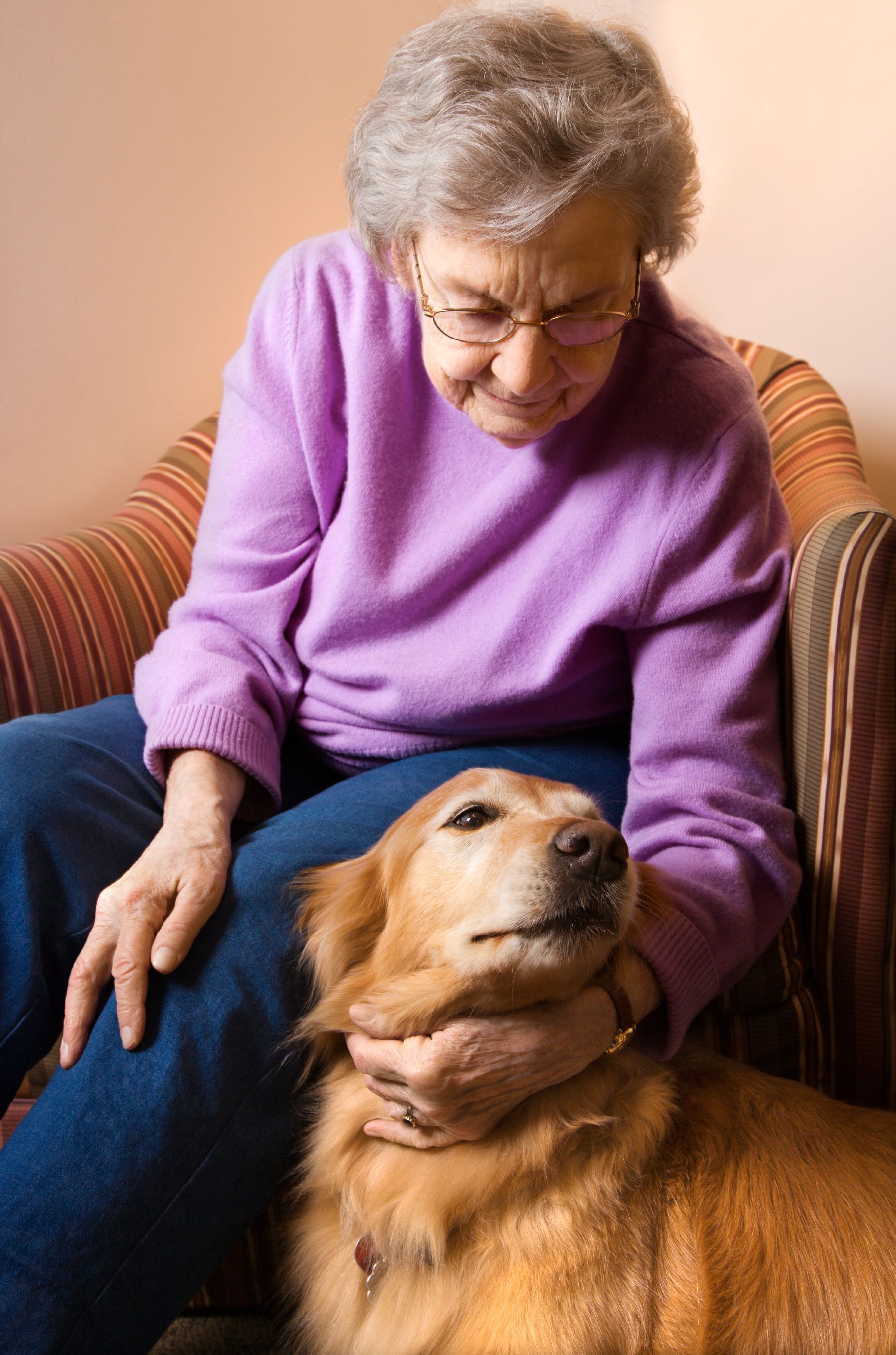 Older adult in a purple sweater sitting with a golden dog on a striped chair