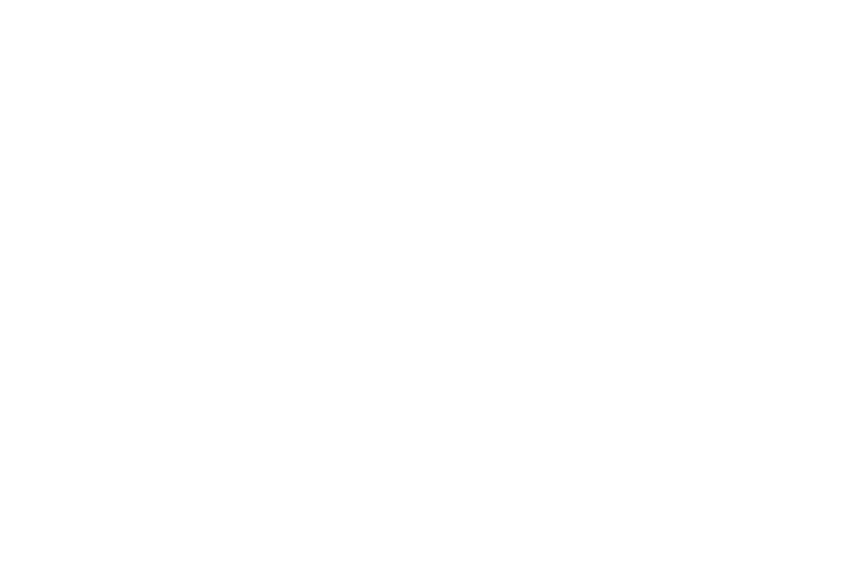 Imagen casi completamente blanca, con una franja negra fina en el borde inferior